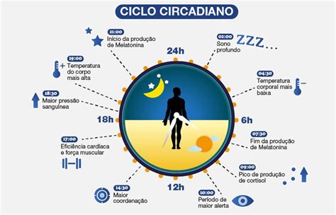 Ciclo circadiano umano