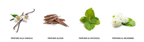 Composizione di ingredienti naturali per profumi