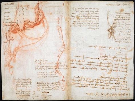 Pagina dai quaderni di Leonardo da Vinci con disegni e scrittura speculare