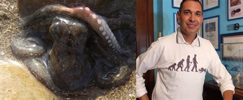 Esempio di mesh raffinata attorno a un intaglio