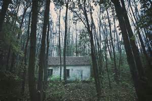Illustrazione di una casa isolata nel bosco