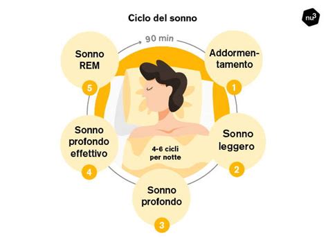 Schema del ciclo del sonno REM