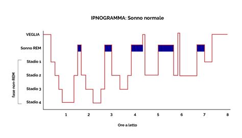 Diagramma delle fasi del sonno e correlazione con la paralisi del sonno
