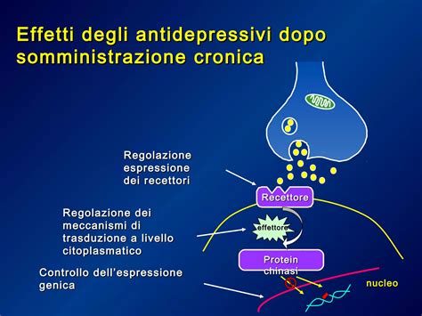 Diagramma temporale dell'efficacia degli antidepressivi