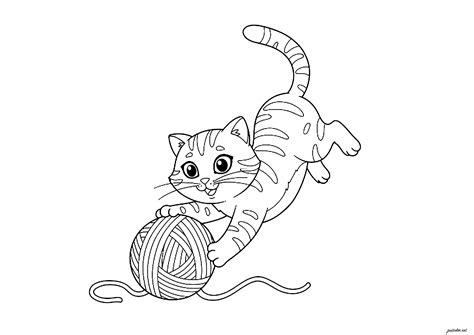 Gatto che gioca con un puzzle alimentare