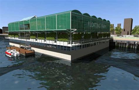 La Floating Farm di Rotterdam, una fattoria galleggiante innovativa