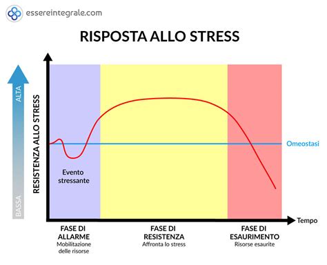 Diagramma che illustra la risposta allo stress del corpo