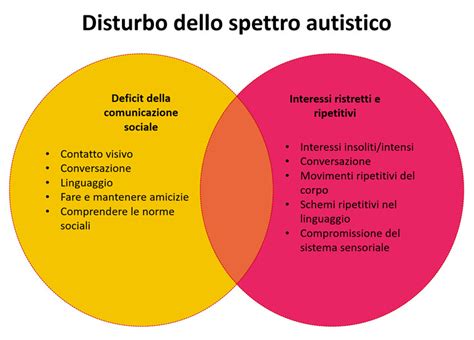 Schema dello spettro autistico con diversi livelli di supporto