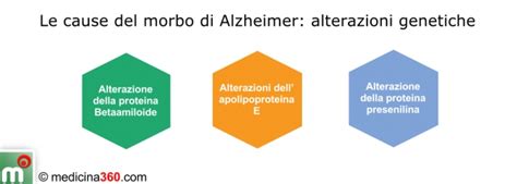Diagramma delle fasi della malattia di Alzheimer