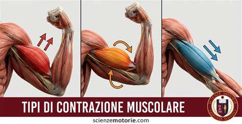 Illustrazione di tensioni muscolari croniche che bloccano il respiro