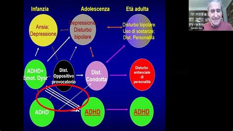 Illustrazione schematica dei benefici dell'interazione cane-persona ADHD