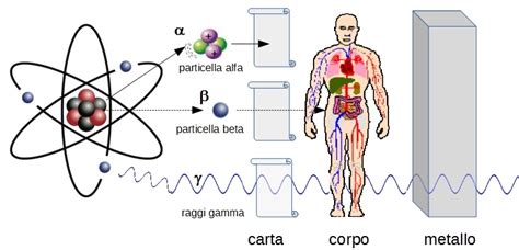 Rappresentazione schematica dell'interazione delle radiazioni ionizzanti con il DNA