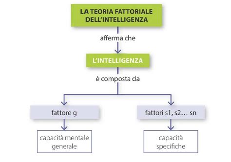 Diagramma che illustra il modello fattoriale dell'intelligenza con il fattore 