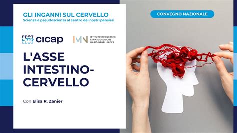 Diagramma dell'asse cervello-intestino
