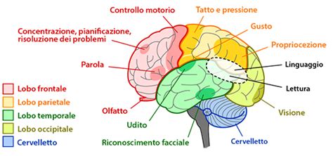 Schema che illustra le diverse aree di intervento nella riabilitazione della schizofrenia