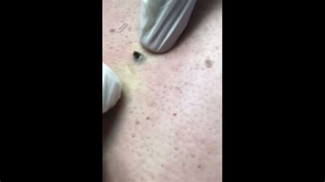 un punto nero che affiora dall'acqua vicino a un molo