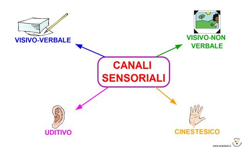 Diagramma che illustra i quattro canali sensoriali di apprendimento (visivo-verbale, visivo non verbale, uditivo, cinestetico)