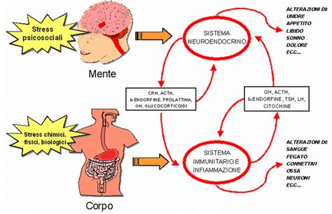 Diagramma che illustra la connessione tra stress, emozioni e sintomi fisici