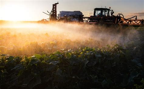 Campi coltivati trattati con pesticidi