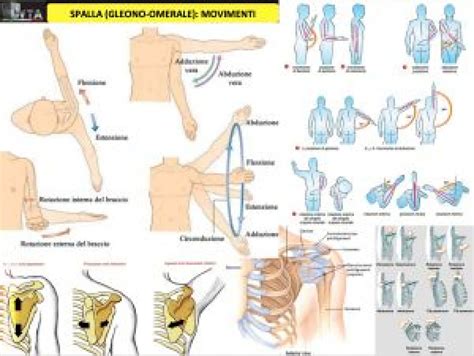 Schema di movimento articolare passivo