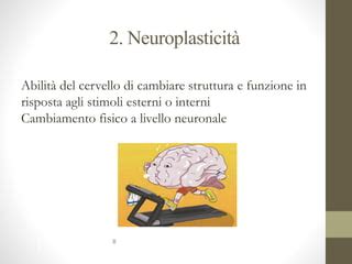 Diagramma che illustra la neuroplasticità