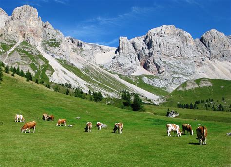 Paesaggio di montagna con agriturismo