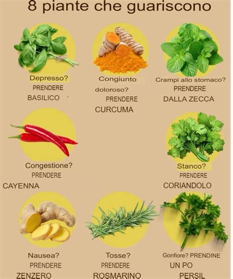 Infografica che mostra i principali rimedi naturali per la depressione