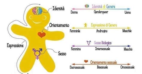 Diagramma che illustra la differenza tra sesso assegnato alla nascita, identità di genere e espressione di genere