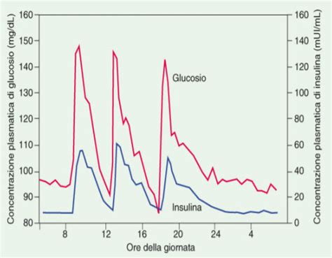 Grafico dei livelli di glicemia nel diabete di tipo 1