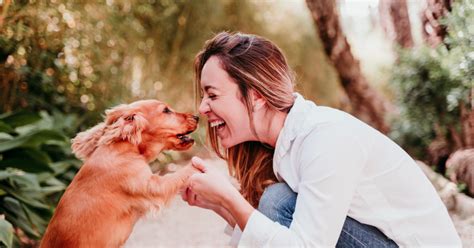 cane e padrone che giocano insieme all'aperto