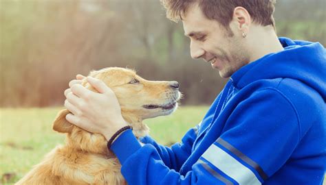 cane che guarda il suo padrone con affetto