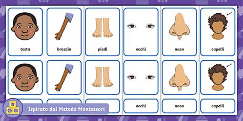 Esempi di simboli CAA per parti del corpo e forme geometriche