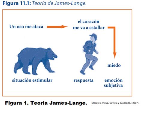 Schema illustrativo della Teoria di James-Lange