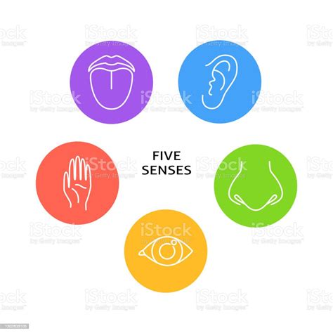 Diagramma che illustra le differenze nella percezione sensoriale