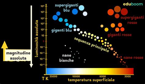 Diagramma che illustra i diversi fattori valutati dalla scala SAFE