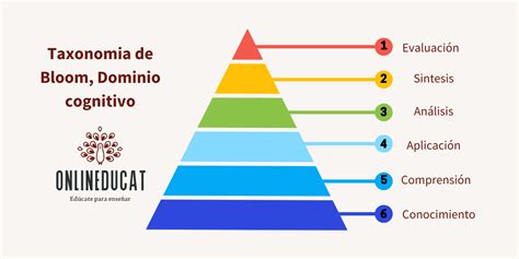 Diagramma che illustra i livelli del dominio cognitivo