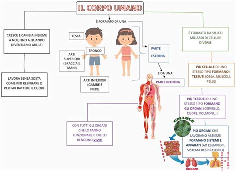 Freud e il corpo umano