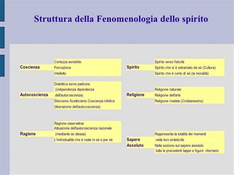 Schema concettuale della fenomenologia esistenziale