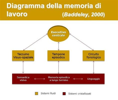 Diagramma del modello di memoria di lavoro di Baddeley e Hitch
