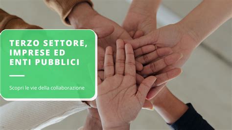 logo terzo settore