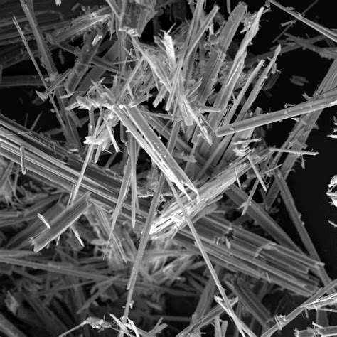 Immagine di fibre di amianto al microscopio