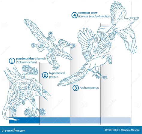 Illustrazione che mostra l'evoluzione storica del concetto di ipocondria