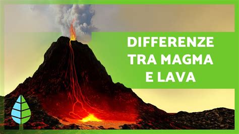 Diagramma che illustra la differenza tra Sé Reale e Sé Idealizzato