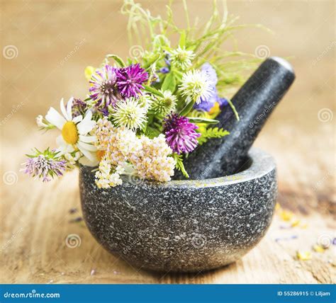 erbe medicinali in un mortaio