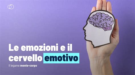 Diagramma che illustra l'interazione tra emozioni e razionalità nel cervello