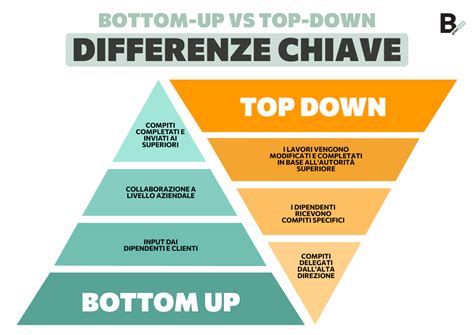 Diagramma che illustra i processi di elaborazione percettiva bottom-up e top-down