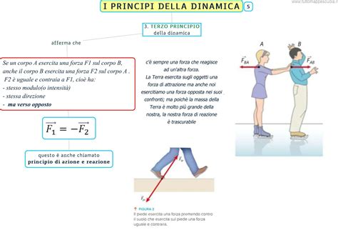 Schema che illustra i principi della didattica differenziata