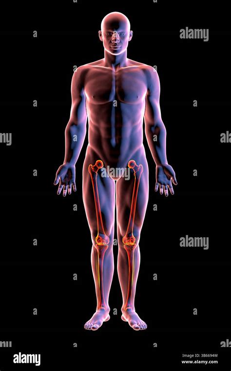 Illustrazione di un corpo umano con aree di tensione evidenziate