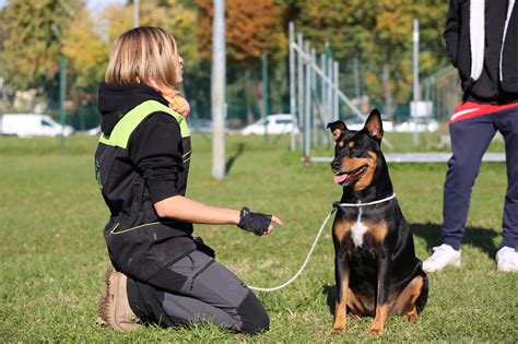 Infografica che illustra i pilastri di una relazione sana: comunicazione, rispetto, fiducia