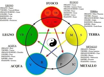 Diagramma dei cinque elementi e degli organi associati nella Medicina Cinese